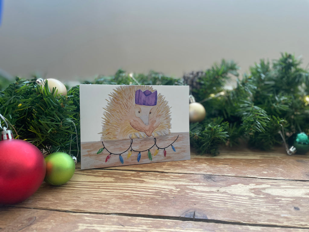 Festive Echidna