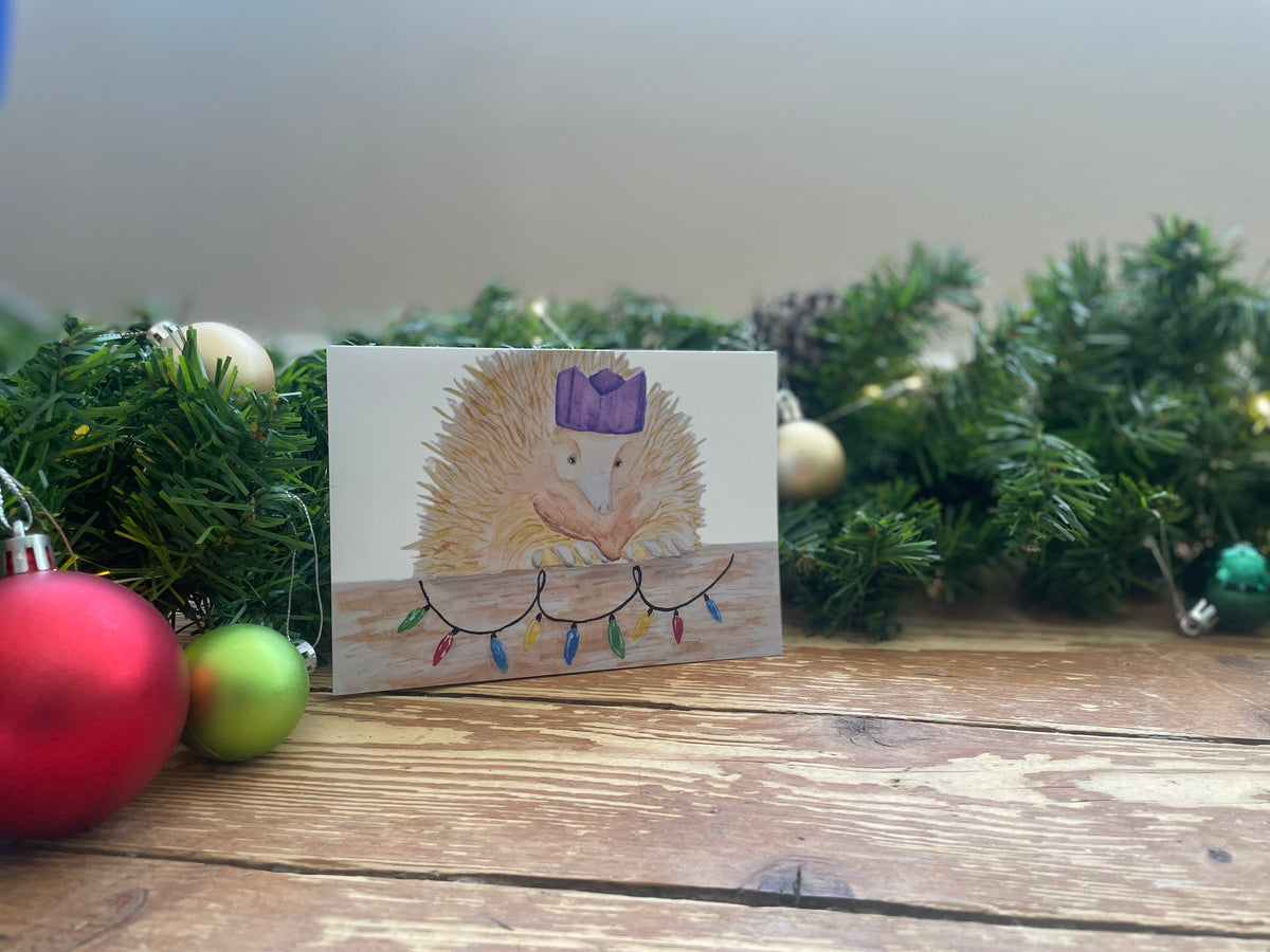 Festive Echidna
