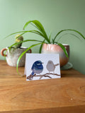 Two Little Wrens