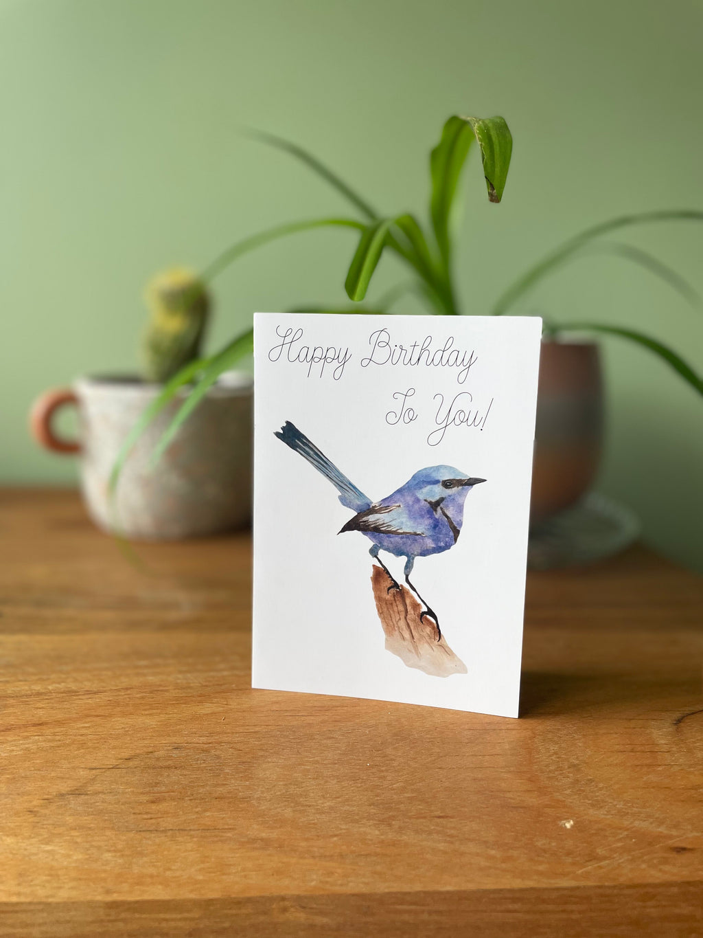 Birthday Fairywren